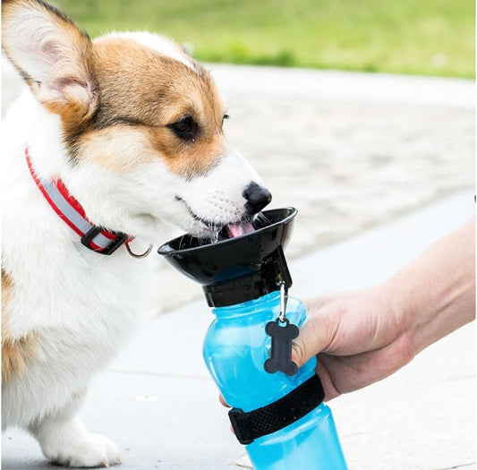 RECEPIENTE DE AGUA PORTÁTIL AQUA DOG 18 oz