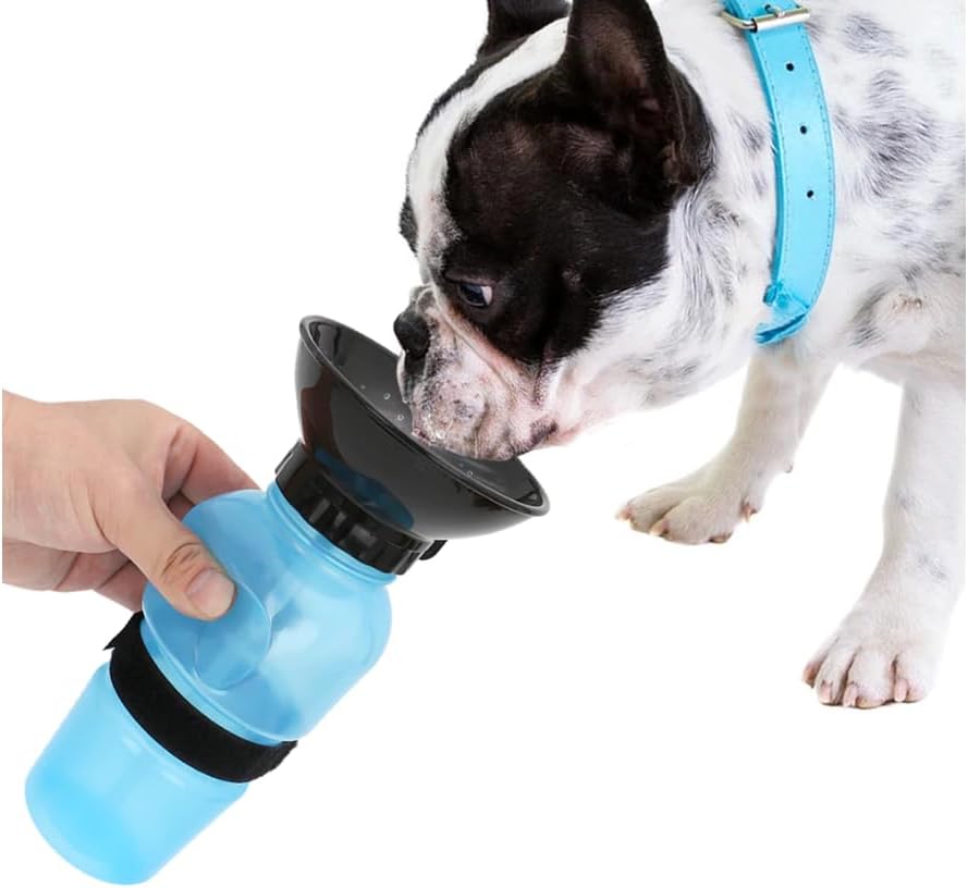 RECEPIENTE DE AGUA PORTÁTIL AQUA DOG 18 oz